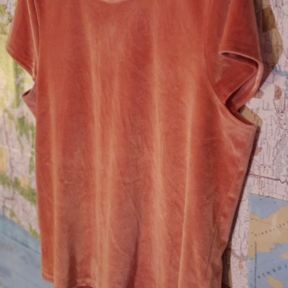 Madewell Peach Velvet Crew Neck Tee Large - Picture 4 of 5